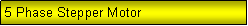Text Box: 5 Phase Stepper Motor